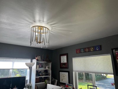 Guest review image 1 of 1, zoom in