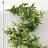 Sullivans Artificial 62" Ruscus & Twig Garland, Green - 4 of 4