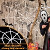 Spider Webs Halloween Decorations Outdoor, 10.5ft 7 Coils White Fake Spider Web, Wall Decor for Halloween Party - 3 of 4