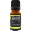 Plantlife Awake Essential Oil Blend – 100% Pure, Therapeutic Grade – No Additives or Fillers – Made in California – 10ml - 2 of 4