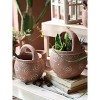 Slickblue Brown Cement Jug Planter with Circle Design - Available in Small and Large Sizes - 2 of 3