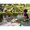 Aquascape Premium Staple Fish Food Pellets for Large Pond Fish, Large Pellet, 4.4 pounds - 3 of 4