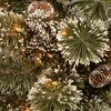 National Tree Company 4' PreLit Glittery Bristle Pine Entrance Artificial Christmas Tree 100 Warm White LED Lights - 3 of 3