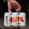 Potter's Craft Cider Grapefruit Hibiscus Session - 6pk/12 fl oz Cans - 4 of 4