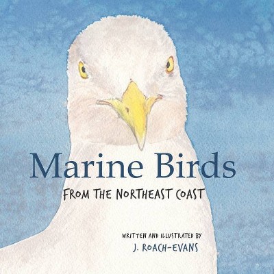 Marine Birds - by  Joanne Roach-Evans (Paperback)