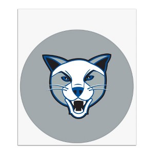 Daemen College Secondary Logo Automotive Car Window Locker Circle Bumper Sticker - 1 of 4