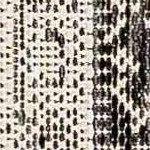 charcoal, beige, medium gray, gray, medium brown