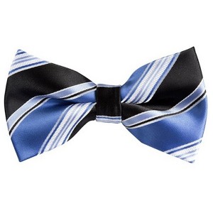 Men's Stripe Color 2.75 W And 4.75 L Inch Pre-Tied adjustable Bow Ties - 1 of 3