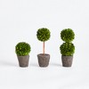 Plum & Post Boxwood Mini Topiary Drop-Ins Set of 3 - 2 of 4