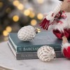 YOOCOZZ Classic Household Christmas Decoration Set, Modern Xmas Tree Ornaments Ball, White Elegent Glass- Iron Decorative Hanging Ball - 4 of 4