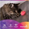 SmartyKat Crazy Cruiser Toy for Indoor Cats & Kittens, Electronic Motion Toy, Vibration Mimics Bugs & Satisfies Hunting Instincts, 3-Pack - 4 of 4