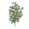 Variegated Foliage Spray (Set of 2) - 2 of 2