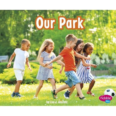 Our Park - (Places in Our Community) by  Lisa J Amstutz (Paperback)