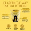 Ice Cream For Bears Frozen Honey Swirl Ice Cream - 14 fl oz - 4 of 4