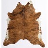 Rugs America Nash HC28 Animal Contemporary Area Rug - 2 of 4