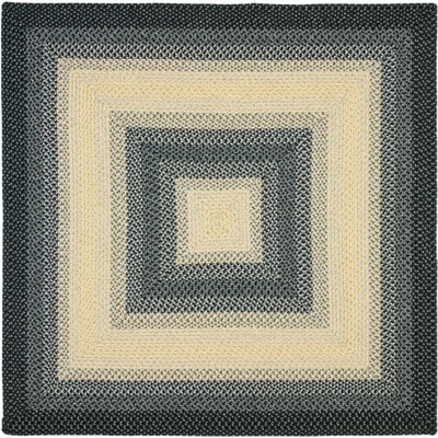 Braided BRD311 Hand Woven Area Rug - Safavieh