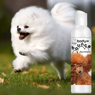 The Blissful Dog Body & Bounce Dog Shampoo