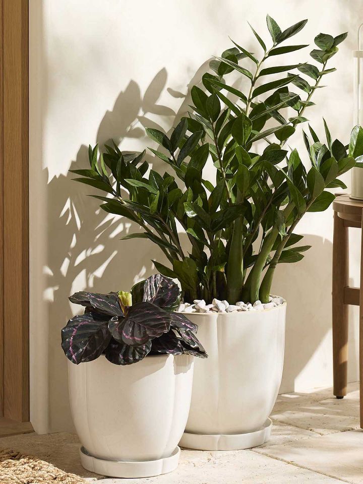 large and medium white planters
