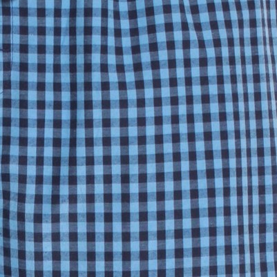 blue plaid / blue