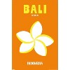 Trends International Reinders: Destinations - Destination Bali Unframed Wall Poster Prints - 4 of 4
