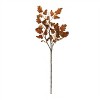 Fall Oak Leaf Spray (Set of 6) - 2 of 2