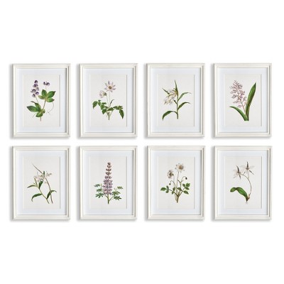 Plum & Post Flowers In Bloom Petite Prints, Set Of 8