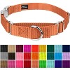 Country Brook Petz Heavyduty Nylon Martingale with Premium Buckle - 3 of 4