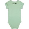 Pavilion Gift Company - Fox - 6-12 Months Green Onesie - Leotards and Bodysuits - 4 of 4