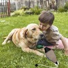 Dead Duck Dummy Dog Trainer Hunting Toy, Teaches Mallard and Waterfowl Game Retrieval - 4 of 4