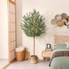 DR.Planzen 5/6/7FT Single-Trunk Artificial Olive Tree with White Planter, Faux Olive Plant for Indoor & Outdoor Home Decor - 3 of 4