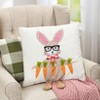 The Lakeside Collection Bunnies & Carrots Embroidered Decorative Pillows - 4 of 4