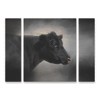 Jai Johnson 'Portrait Of The Black Angus' Multi Panel Art Set Large 3 Piece - 2 of 3