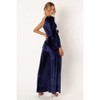 Petal and Pup Womens Avery Velvet Jumpsuit - 4 of 4