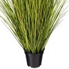 Green/Brown Switchgrass Potted - 3 of 4