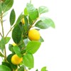 6FT Artificial Lemon Tree Potted That Look Real, Faux Lemons Citrus Plants with Yellow Fake Lemons Fruits in Pot, Indoor Tall Artificial Trees - 4 of 4