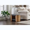 Garvee Scandinavian Style Elevated Dog Cat Bed Pet Sofa with Solid Wood Legs and Bent Wood Back with Velvet Cushion - 4 of 4