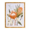 Framed Protea Floral Wall Art (Set of 2) - 3 of 4
