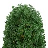 Northlight Pre-Lit Artificial Boxwood Cone Topiary Tree with Round Pot - 18" - Clear Lights - 3 of 4