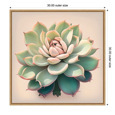 Echeveria Succulent Pastel Canvas Art with Maple Frame