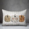 Creative Products Autumn Pumpkins 20 x 14 Indoor / Outdoor Pillow - 3 of 3