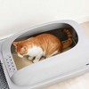 NAYSAYE Cat Litter Box with Lid, Large Cat Litter Box for Big Cats, High Wall Sides, Anti-Urine Leakage, Scoop and Mat, Silver, 23.6"*15.8"*11.8" - 2 of 4
