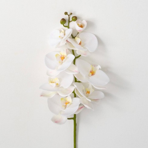 Sullivans 38.5" Phalaenopsis Stem  White - image 1 of 2