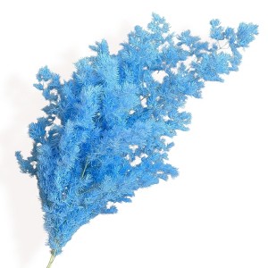 Alilang Decorative Dried Fine Leaf Stems for Home Decoration and Floral Arrangements, 17.7 Inches - 1 of 3