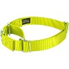 Country Brook Design Martingale Heavyduty Nylon Dog Collar - 3 of 4