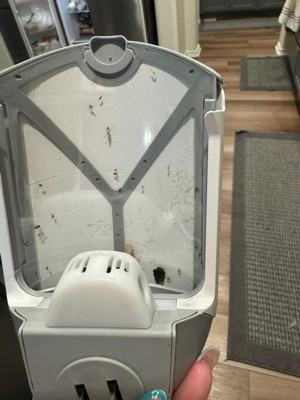 Guest review image 2 of 2, zoom in