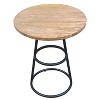 The Urban Port 20" Side Table Natural Brown Mango Wood Top Black Iron Base Brown/Black - 3 of 4