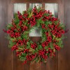 Northlight Cedar, Pine and Red Berries Artificial Christmas Wreath - 28" - Unlit - 3 of 4