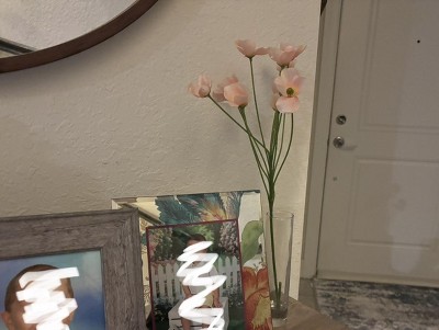 Guest review image 1 of 1, zoom in