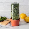 Hutzler Herb Saver Storage Container - Keep Asparagus and Herbs Fresh Longer - 3 of 4