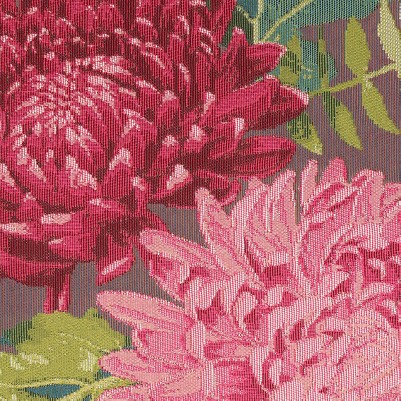 mums fuchsia
